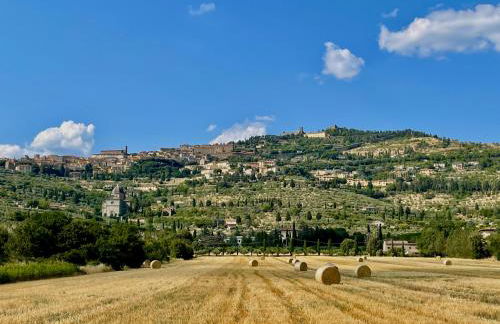 Balcone Fiorito, nel cuore del centro storico di Cortona - Foto 67
