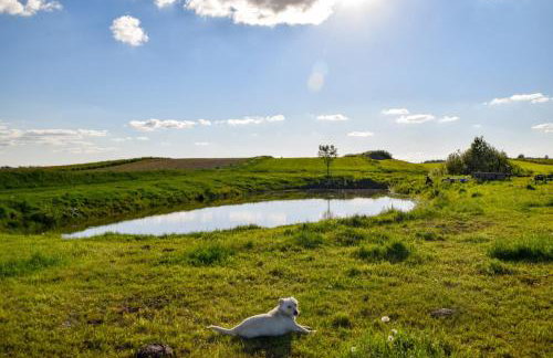 AgroGabi - Wypoczynek na Podlasiu - Foto 29