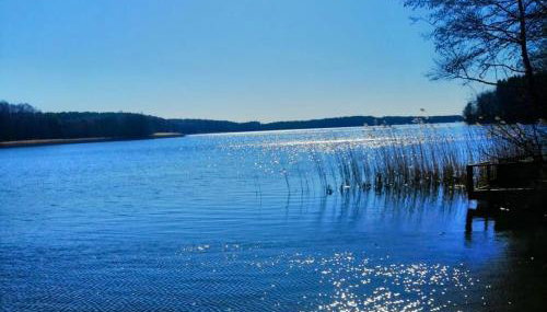 LEŚNY KĄCIK - Foto 4