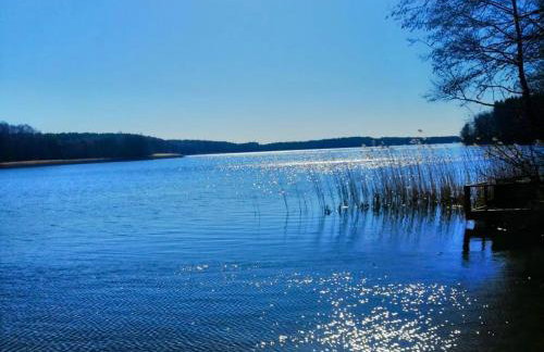 LEŚNY KĄCIK - Foto 4