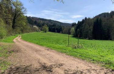 FeWo Sulzbachtal, Nähe Europa-Park, Rulantica, Schwarzwald, Feldberg - Foto 64