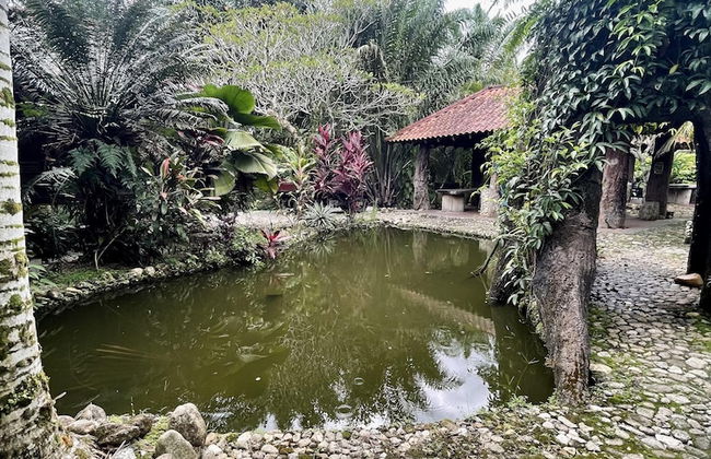 Sahom Valley Resort - Agro & Eco - Foto 38