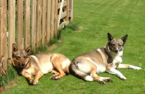 The Beeches Studio, Highlands of Scotland - Foto 17