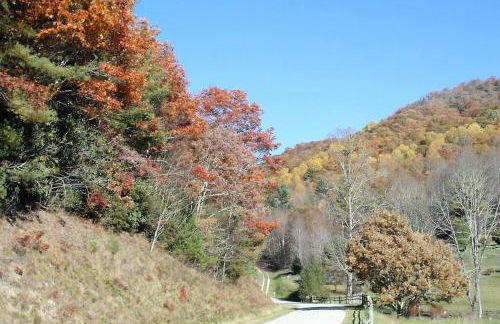 Nantahala Spiritual Retreat - Remote and Peaceful! - Foto 55