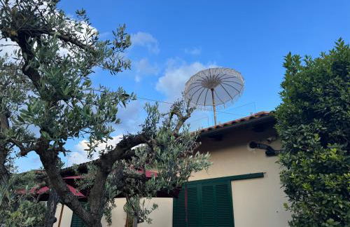 Panoramic Loft Artimino Tuscany - Foto 23