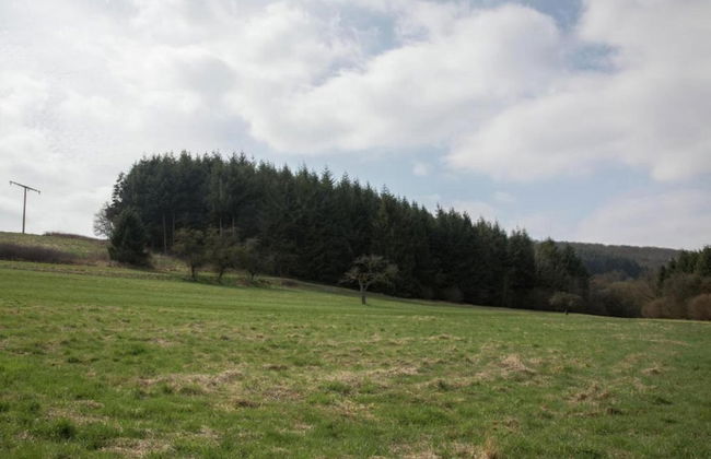 Tranquil Eifel Hideaway - Photo 31