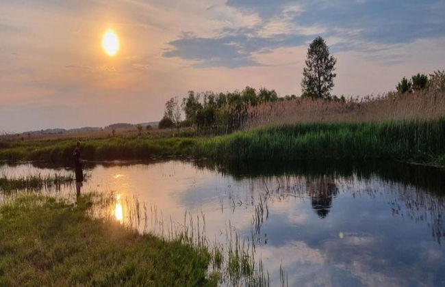 Countryside Escape With Sauna - Foto 23