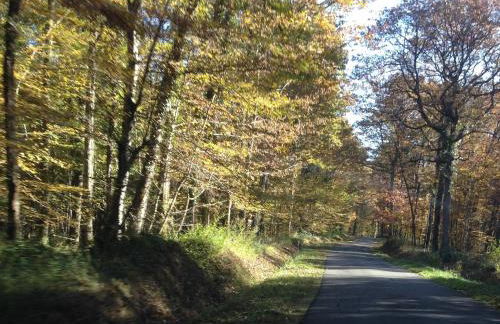Maison de campagne calme avec jardin, proche du Zoo de Beauval et châteaux de la Loire - FR-1-591-84 - Photo 8