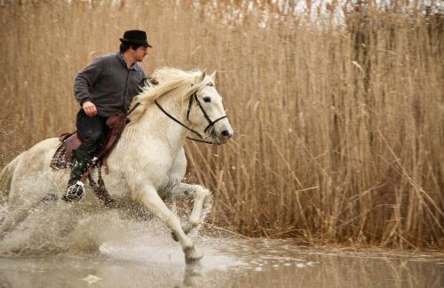 Mas Du Pont Rouge - Foto 55