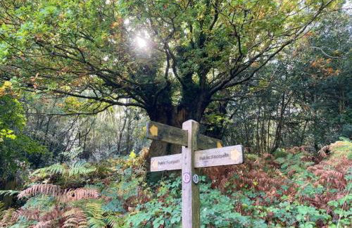 Badgers Cottage The Butler Collection - Foto 26
