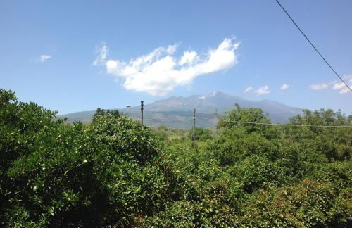 Casa Riolo - Foto 14