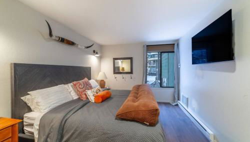 Ski In Canyon Lodge Modern 1 bdrm Pacman and Garage - Foto 3