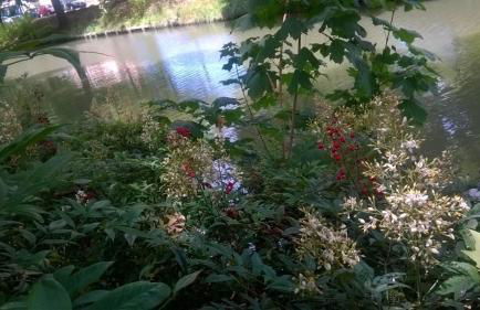 Appartement Matabiau - Foto 21