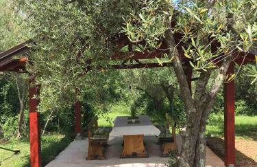 Apartments Nina - Photo 56