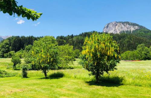 Residence Dolomiti - Foto 36