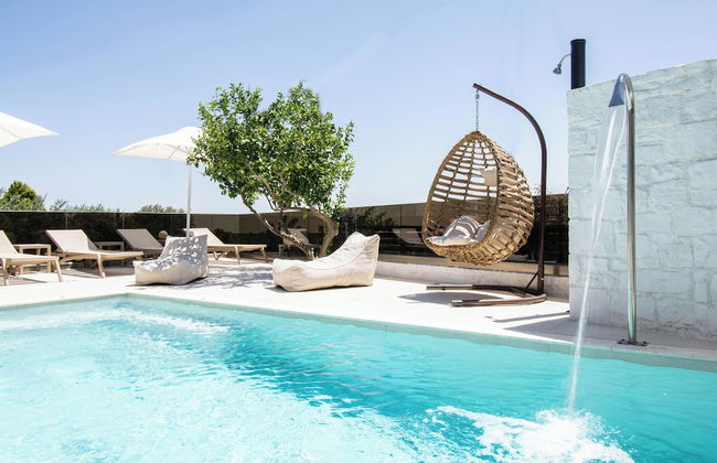 Olive Tree - Foto 31