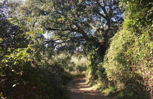 La Apañaora - Foto 46