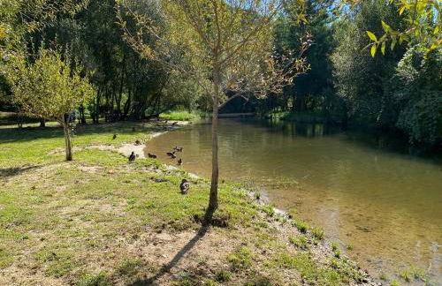 Casa de Greire - Foto 80