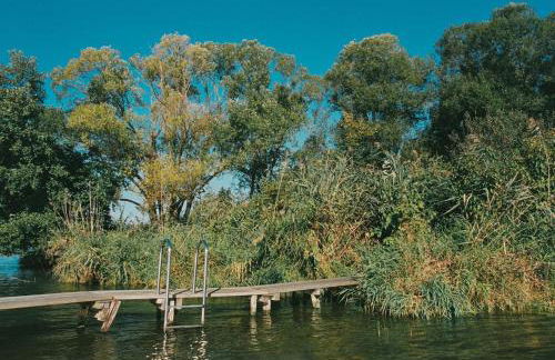 Am Mühlenberg - Photo 77