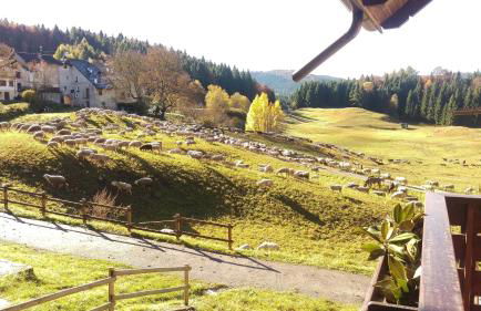 Casa Camilla Holiday - Foto 51