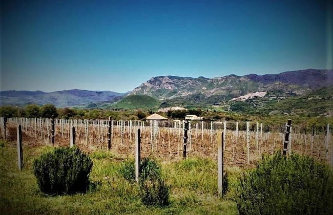 Il Tanaceto - Foto 38