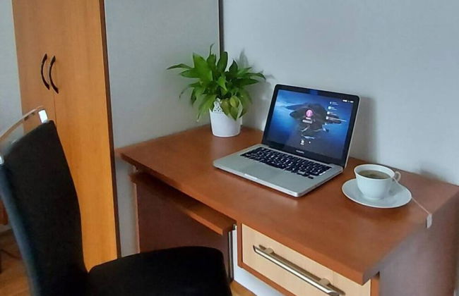 Green Garden Oasis - Photo 18