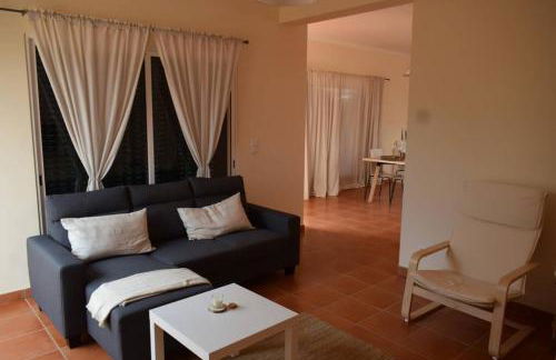 O DRAGOEIRO da Madalena! - Foto 17