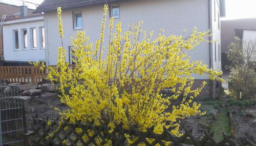Kreuzdellenhof Ferienzimmer - Foto 4