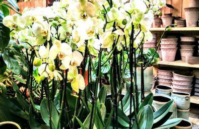 Cozy Cotswold getaway near Burford - Foto 37