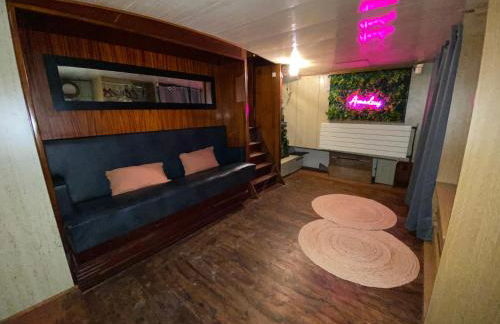 Péniche Amadeus conviviale et cosy , proche de Disney et de Paris - Foto 7