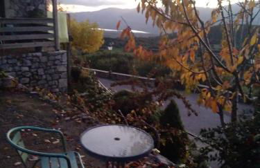 The Artist's House - Photo 20