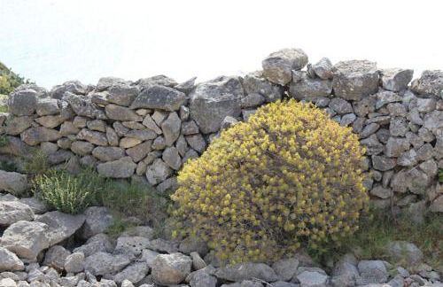 Il Trullo di Funnuvojere - Foto 49