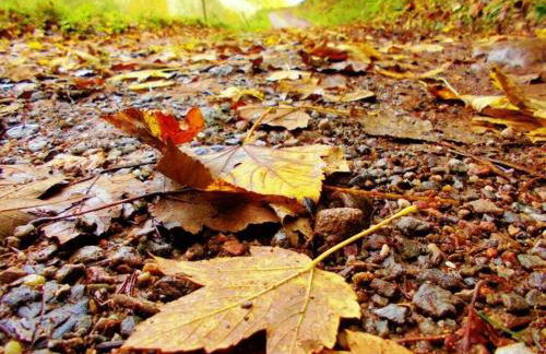 Pleasant Holiday Home With Balcony - Foto 37