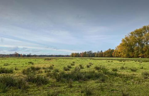 Gästehaus Barthel - Foto 13