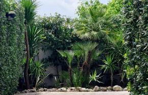 Villa Aeonium - Foto 51