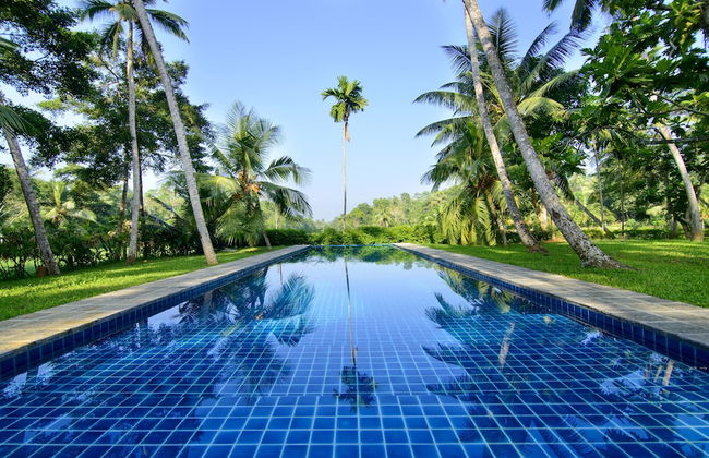 Ivory House - Foto 38