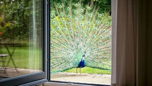 Vacation Home Near The Keezer Lake - Foto 2