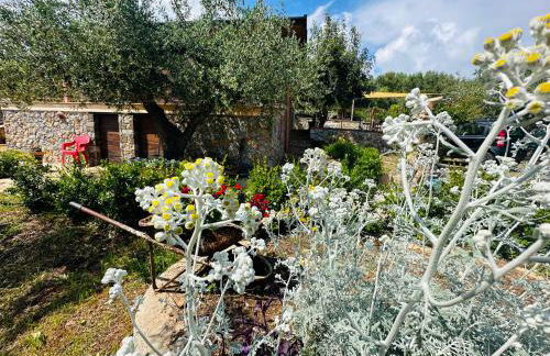 Villetta Starza - Foto 8