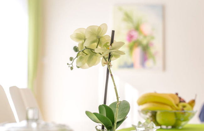 Apartments Snježana Rastoke - Foto 23