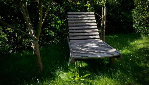 Lüttje Teihn - Foto 3, Garden