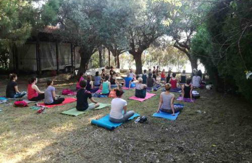 The Yellow Houses - Photo 38