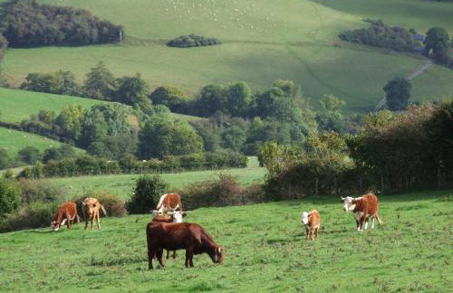 The Old Dairy - Foto 23