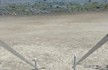 Rye by the Beach Walk to the sand- multi-gen stays - Foto 39