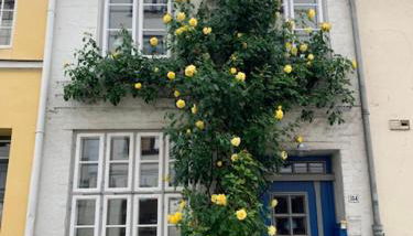 Kulturdenkmal 60 m2 HISTORISCHES BALKENHÄUSCHEN von 1749 - Foto 3