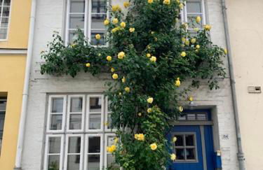 Kulturdenkmal 60 m2 HISTORISCHES BALKENHÄUSCHEN von 1749 - Foto 3