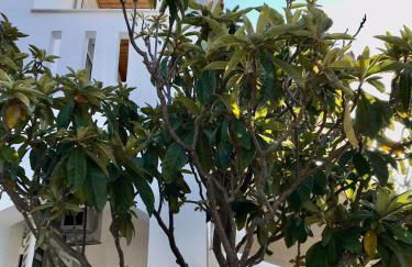 White Oasis Samos-Retreat - Foto 39