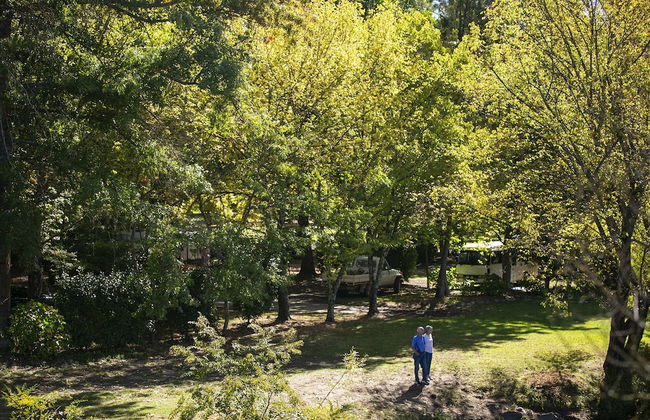 Tawonga Tourist Park - Foto 13