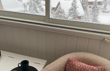 FLOR de MONTANHAS Appt vacances 4P- La Pierre St Martin GR10 - Foto 33