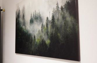 MULTIROOMS - Foto 37