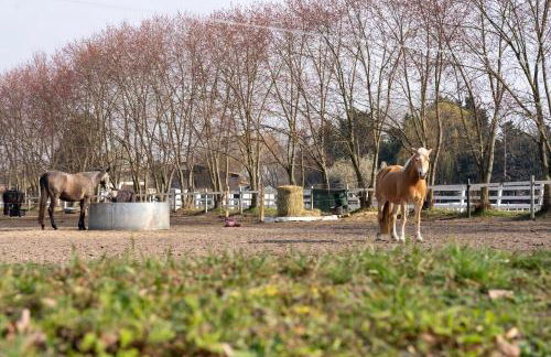 LANDHAUS by Comfort Housing - up to 7 guests - Foto 47